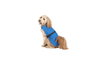 Chubasquero para Perro Dog Gone Smart Azul 35 cm