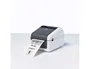 Brother TD-4210D Impresora de Etiquetas Térmica Directa USB y Serie