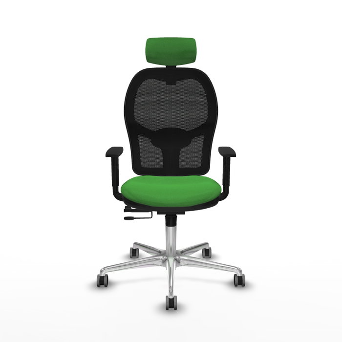 PIQUERAS Y CRESPO Silla de oficina Jorquera con mecanismo Sincro/Traslack Verde y Negro PIQUERAS Y CRESPO Silla de oficina Jorquera con mecanismo Sincro/Traslack Verde y Negro