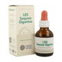 Forza Vitale LES Sequoia Gigantea 50ml