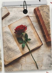 CAMPO DAS REDES Funda Acolchada para Libros Rosa 21x28cm