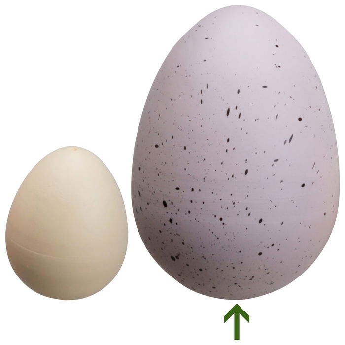 Jeux 2 momes Huevo Mágico Dinosaurio Gigante 2 momes