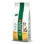 Affinity Libra Canine Adult Pollo 14kg