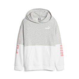 Sudadera Infantil Puma Power Colorblock Gris