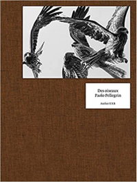 EXB ATELIER, Des Oiseaux - Paolo Pellegrini