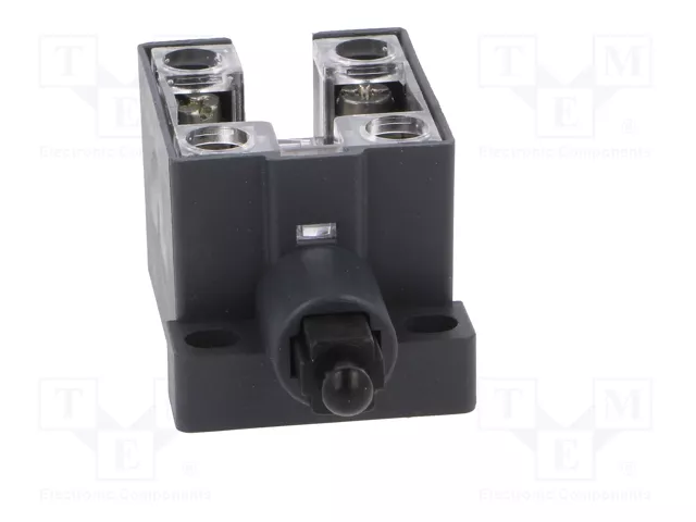 PIZZATO ELETTRICA Interruptor de fin de carrera con husillo de plástico NO + NC