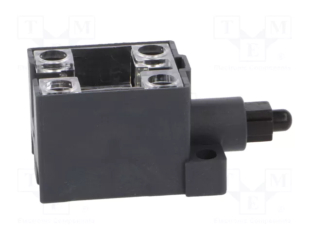 PIZZATO ELETTRICA Interruptor de fin de carrera con husillo de plástico NO + NC