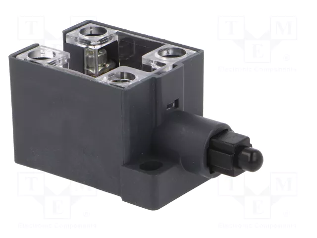 PIZZATO ELETTRICA Interruptor de fin de carrera con husillo de plástico NO + NC