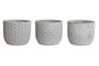 DKD Home Decor Macetero Gris Cemento 14 x 12 x 14 cm (6 Unidades)
