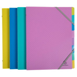 EXACOMPTA Carpeta Clasificadora Forever Young A4 8 Departamentos con Gomas y Solapas Surtida