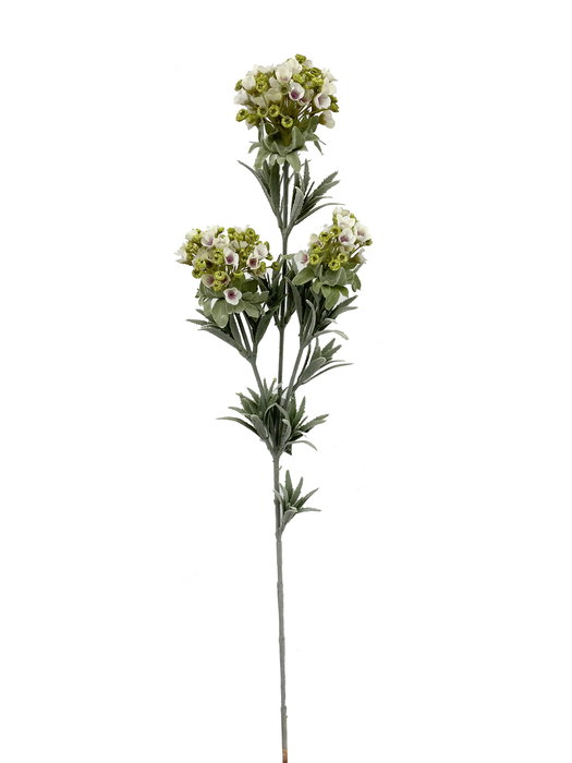 Oplante Vara Flor Cera Artificial Blanca de Tela - 78 cm de Alto, Pack de 3 Unidades, Decoración Elegante para Jarrón o Eventos Oplante Vara Flor Cera Artificial Blanca de Tela - 78 cm de Alto, Pack de 3 Unidades, Decoración Elegante para Jarrón o Eventos