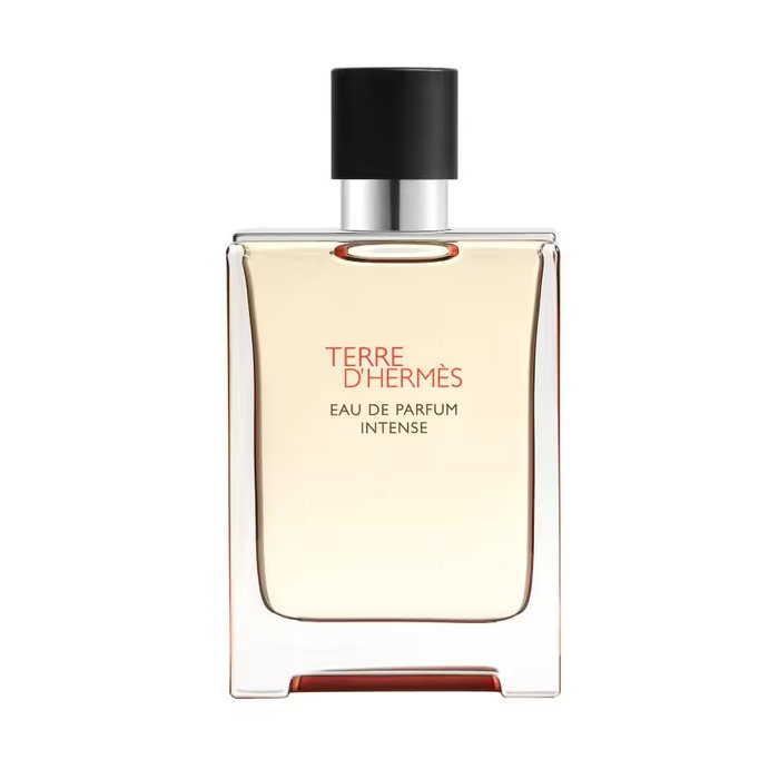 Hermès Terre d'Hermès Eau de Parfum Intense 100 ml