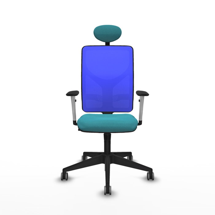 PIQUERAS Y CRESPO Silla de oficina Motilla con mecanismo Sincro, Turquesa y Azul PIQUERAS Y CRESPO Silla de oficina Motilla con mecanismo Sincro, Turquesa y Azul