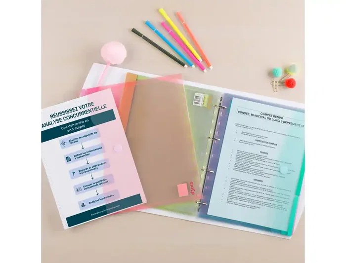 Djois Funda Multitaladro A4, Polipropileno Reciclado con Velcro, para 60 Hojas, Pack de 12 Unidades Colores Surtidos, Compatible con Carpetas de 11 Agujeros