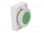EATON ELECTRIC Interruptor de presión RMQ-Titan verde 30mm