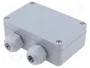 BOPLA Caja de conexiones gris con prensaestopas