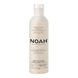 NOAH Mascarilla Capilar Antiamarillo Con Arándano 250ml
