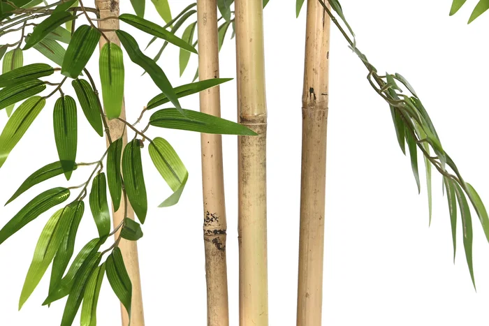 DKD Home Decor Árbol Bambú Asiático Verde Natural Negro 80 x 180 x 80 cm