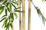 DKD Home Decor Árbol Bambú Asiático Verde Natural Negro 80 x 180 x 80 cm
