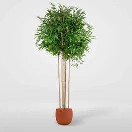 DKD Home Decor Árbol Bambú Asiático Verde Natural Negro 80 x 180 x 80 cm