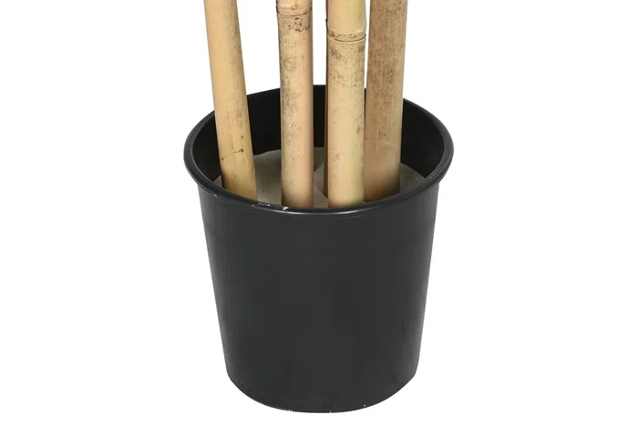 DKD Home Decor Árbol Bambú Asiático Verde Natural Negro 80 x 180 x 80 cm