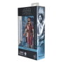 Hasbro Star Wars The Black Series Figura Ezra Bridger (Peridea) 15 cm