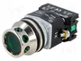 PROMET Interruptor de presión NEF30 Verde 24V