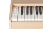 Amadeus Piano de Escenario Pa-30