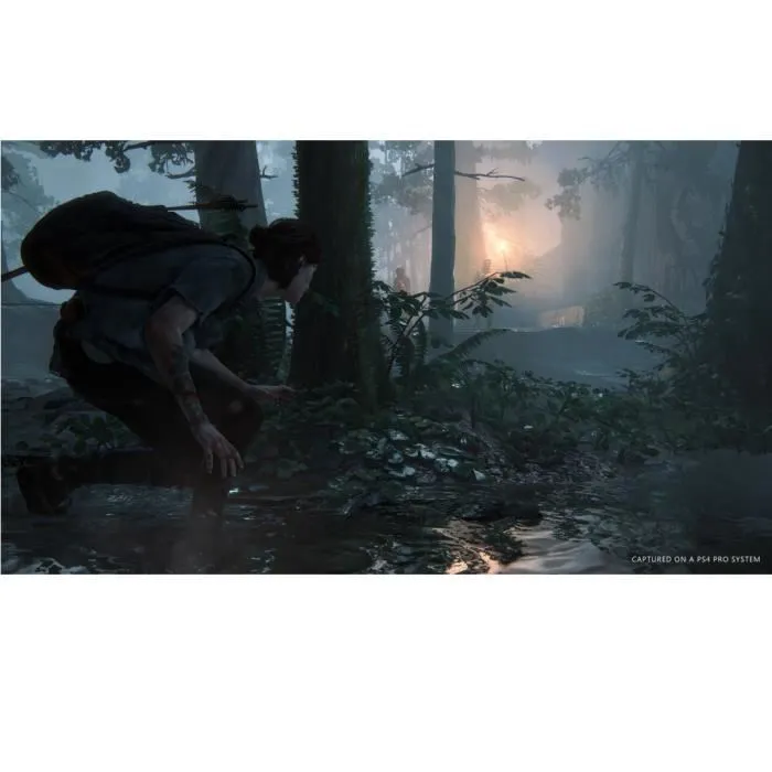 Sony Computer Entertainment The Last of Us Part II Juego de PS4
