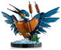 LEGO Icons Martín Pescador 10331