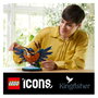 LEGO Icons Martín Pescador 10331