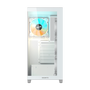 Gigabyte C500 PANORAMIC STEALTH Blanco