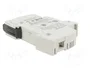DF ELECTRIC Portafusibles PMX para Raíl DIN 30A 600VAC