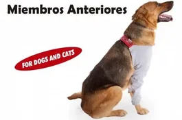 Petmed Protector Extremidades Anteriores