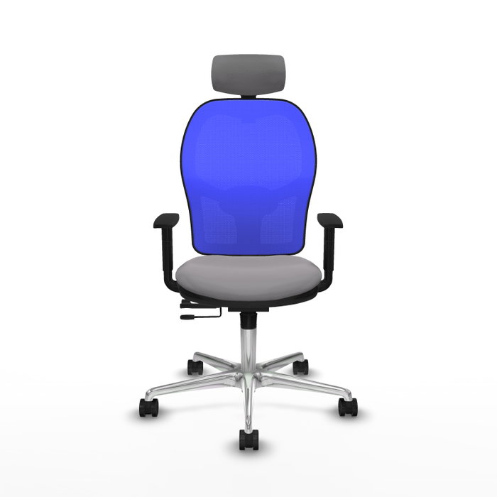 PIQUERAS Y CRESPO Silla de oficina Jorquera con mecanismo Sincro/Traslack, Gris y Azul PIQUERAS Y CRESPO Silla de oficina Jorquera con mecanismo Sincro/Traslack, Gris y Azul