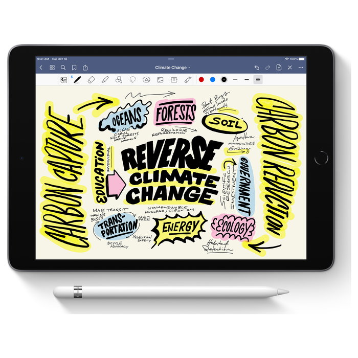 Apple Pencil (1st Generation) Blanco Compatible con iPad Pro, iPad Air, iPad, iPad mini