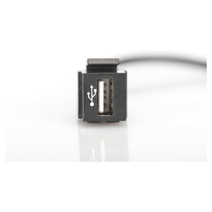 Digitus Módulo Keystone USB A 2.0 con Cable de 16 cm, Negro