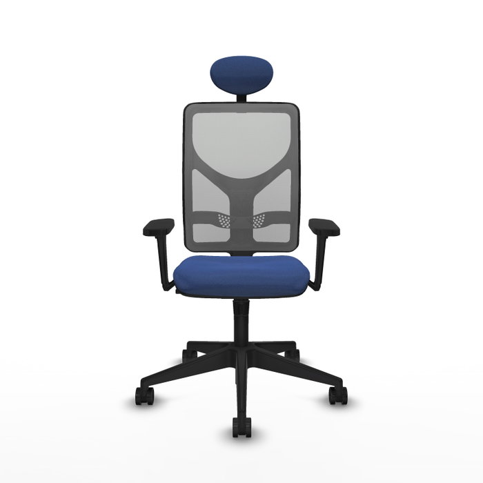PIQUERAS Y CRESPO Silla de oficina Motilla con mecanismo Sincro, Azul marino y Gris PIQUERAS Y CRESPO Silla de oficina Motilla con mecanismo Sincro, Azul marino y Gris