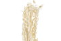 DKD Home Decor Ramo de Flores Secas con Avena Beige