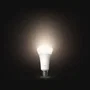 Philips Hue Bombilla LED Conectada A67, Luz Blanca Cálida 2700K, E27 13.5W 1600 Lúmenes, AABUO53053