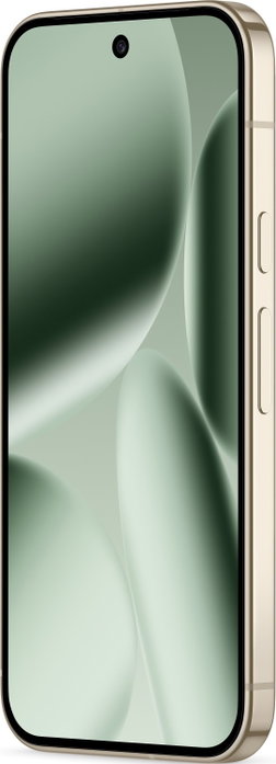 Google Pixel 10 Pro 256GB Verde