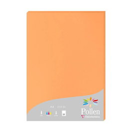 Papel Clairefontaine Pollen A4 210G 25H Clementina