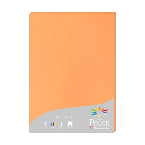 Papel Clairefontaine Pollen A4 210G 25H Clementina Papel Clairefontaine Pollen A4 210G 25H Clementina