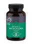 TERRANOVA MAGNIPROBIO infantil 50cap.