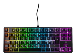 CHERRY XTRFY K4V2 RGB TKL Teclado Mecánico Gaming Alámbrico USB QWERTY Español Negro