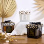 The Concept Factory Vela Perfumada Leopardo