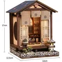 Nookland Book Nook - Kit de bricolaje DIY para construir un sujetalibros escena 3D, Zen House, modelo de madera, 12.5 x 12 x 17 cm