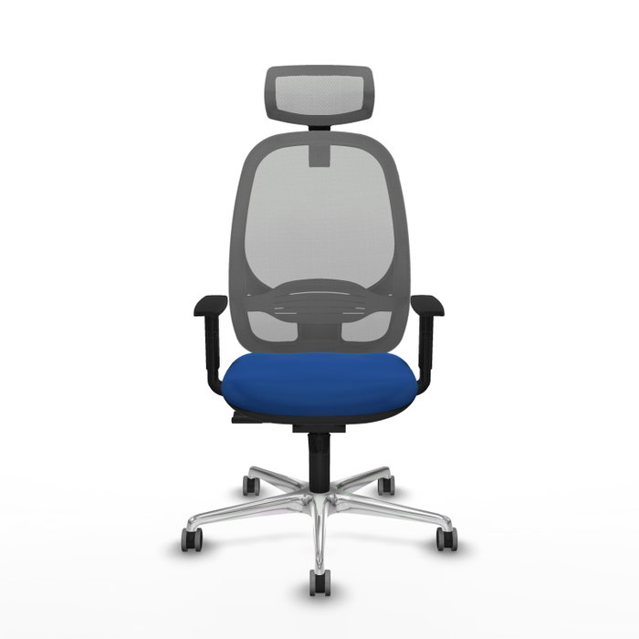 PIQUERAS Y CRESPO Silla de oficina Cilanco con Mecanismo Sincro, Azul y Gris PIQUERAS Y CRESPO Silla de oficina Cilanco con Mecanismo Sincro, Azul y Gris