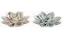 DKD Home Decor Flores de Porcelana Surtidas Azul Celeste y Beige