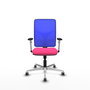 PIQUERAS Y CRESPO Silla de oficina Motilla con mecanismo Sincro, Rosa y Azul